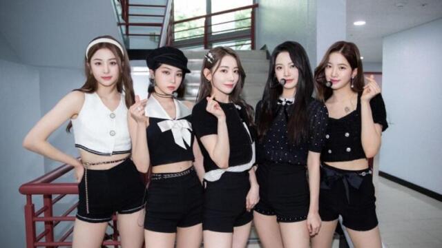  LE SSERAFIM（ルセラフィムファンクラブの年会費は？入り方や特典を紹介