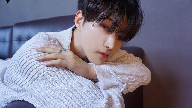 ホシ（SEVENTEEN）の身長や経歴などまとめ！双子って本当？