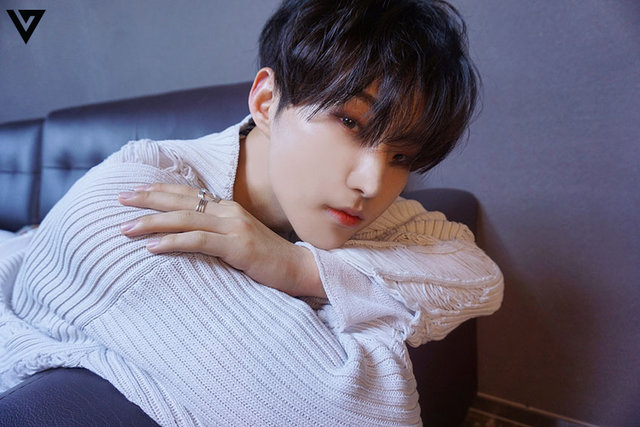 ホシ（SEVENTEEN）の身長や経歴などまとめ！双子って本当？